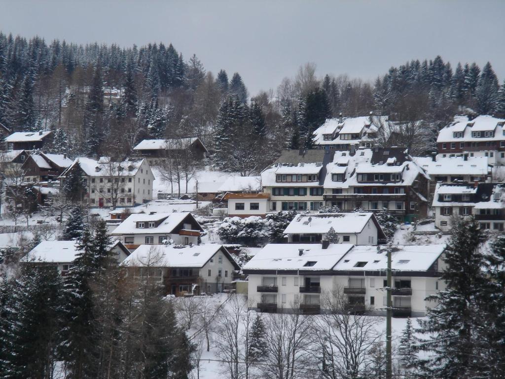 Pension Restaurant Waldblick Feldberg  Εξωτερικό φωτογραφία
